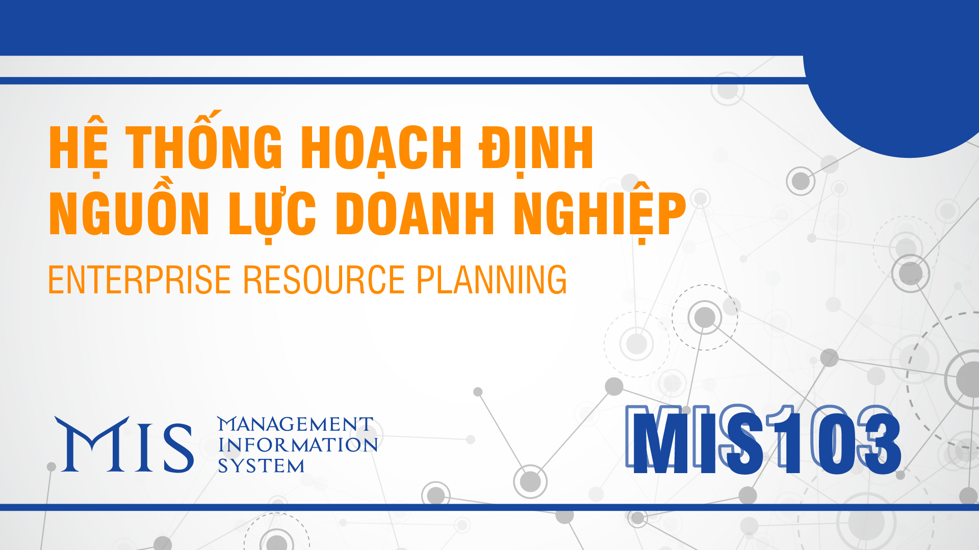 Enterprise Resource Planning MIS103